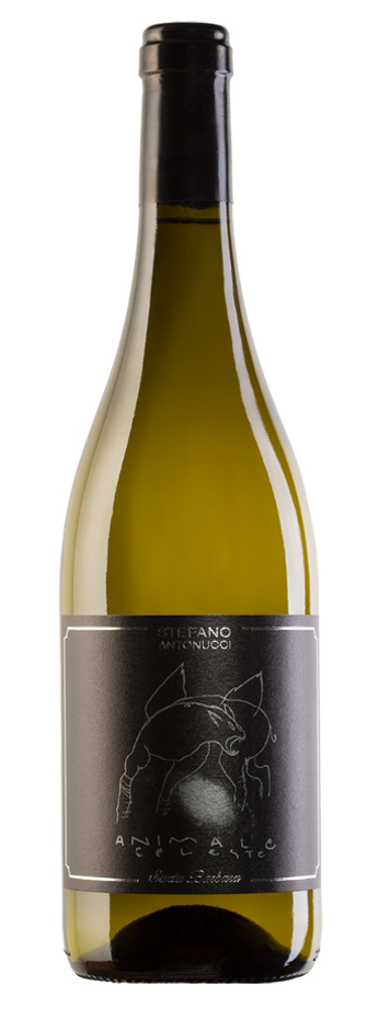 Sauvignon Animale Celeste 2019